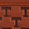 University of Tennessee - Tan Full Grain