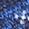 Navy Night Owl