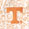 University of Tennessee - Orange