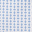 White/Blue Diamond