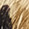 Beige/Brown Zeba-Print Haircalf