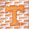 University of Tennessee - Orange