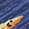 Blue Fish