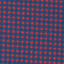 Red/Navy Mini Gingham