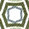 Sage/Olive Hexagon