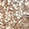 Rose Mosaic Metallic-Printed Sheepskin