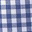 Navy/White Gingham