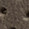 Dark Taupe Oiled Full-Grain Leather