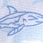 White/Blue Shadow Shark