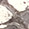 Pewter Metallic Snake-Embossed Leather