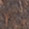 Brown Bomber Leather