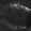 Black Croc-Embossed Full-Grain Leather