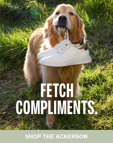 Dog holding a pair of Johnston & Murphy white shoes in its' mouth.