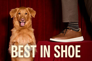 Small banner of a dog with it's tongue out and a pair of brown dress sneakers with the words Best in Shoe overlaying.